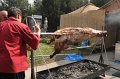 DSC00433 00